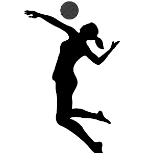 voleibol-gsport